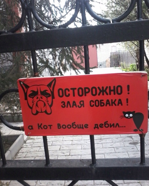 ��, ��� ���� �� � �����