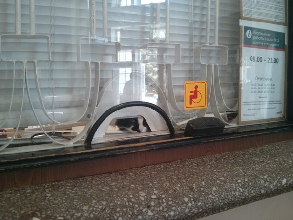 Пушистый кассир