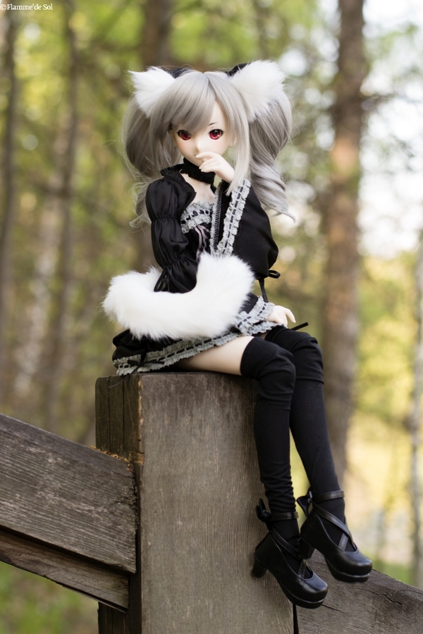   ,  , , Dollfiedream, , , 