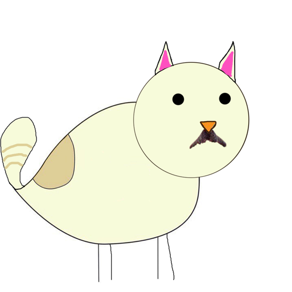 -  , -, ,  