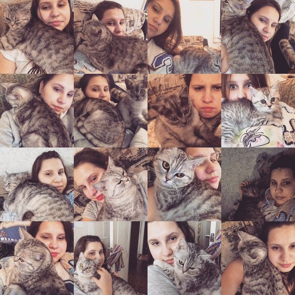 Диплом,Диплом