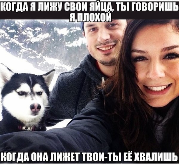 ������� ���������