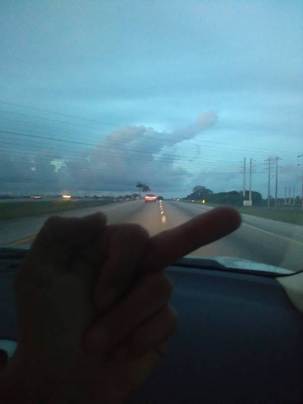 ���� �������� �������� ����