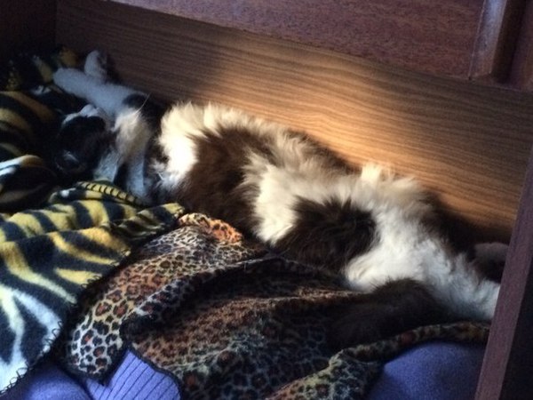 Вольюсь в волну рассказов о съеме квартиры