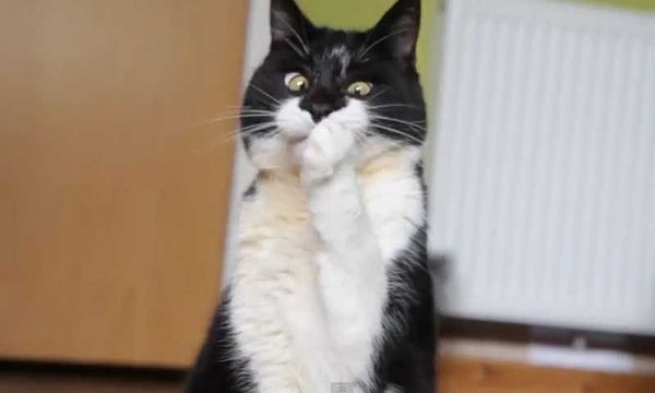 Кто пьян?ой.