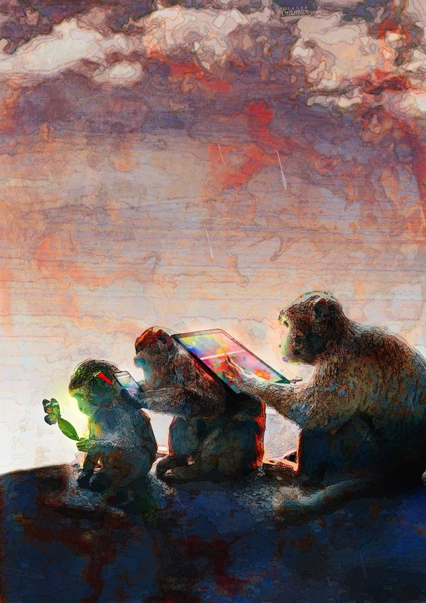 ��������