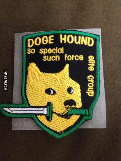 Doge hound, so special,such force
