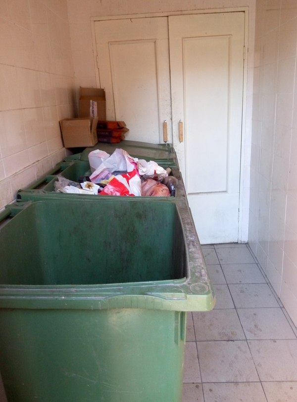 Выкидываю мусор, а на меня смотрит ОН! Пакет!