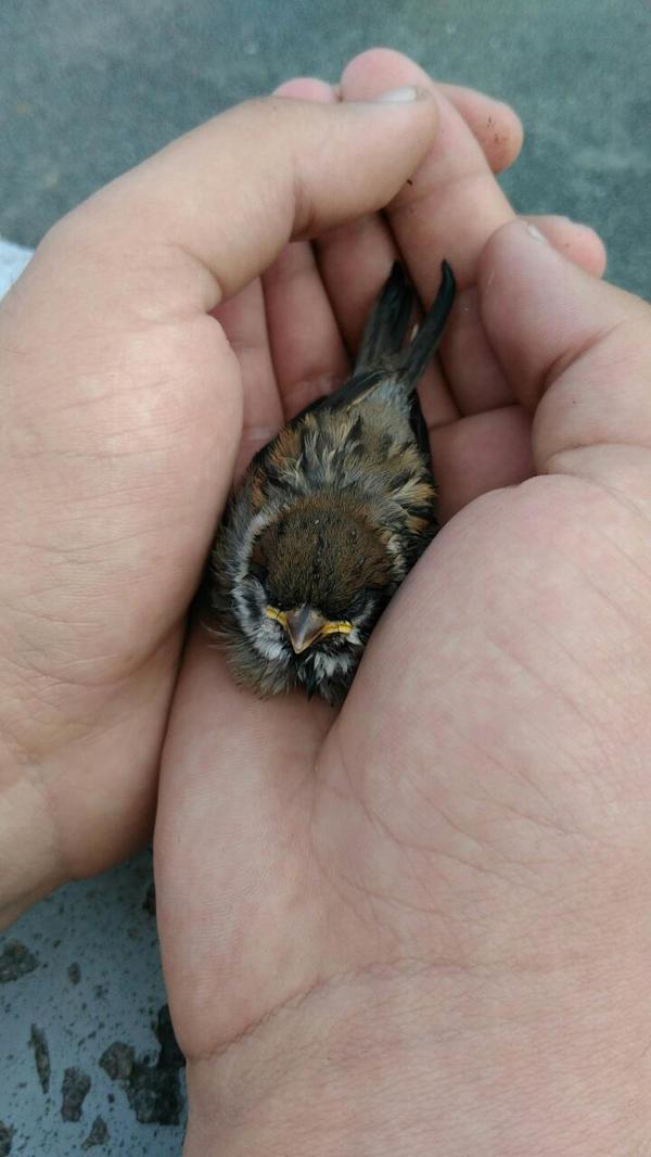 ������� ������ ��� ��������� ����� :)