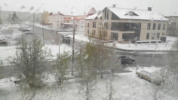 � ����� "� ����� ������� ���� ���������"