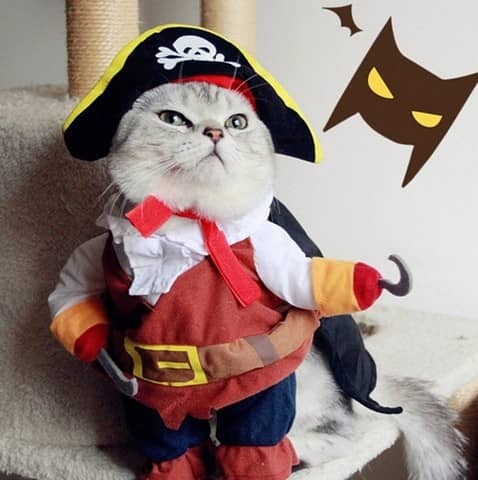 ����� ������ �� ��������. HELP!!!