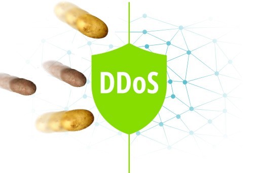       DDoS- "--2016"  , DDoS, 