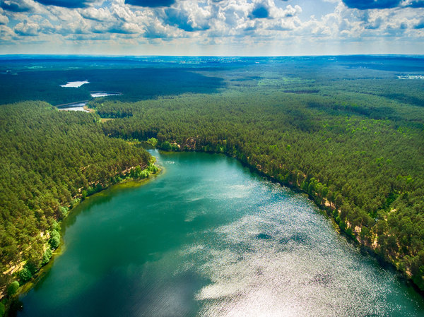 ��������� ��