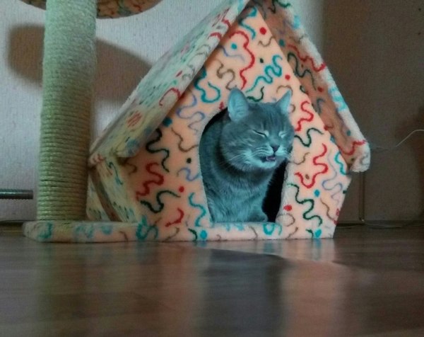 ���, ������� ������� �����  ����� ��������� ���� ������.