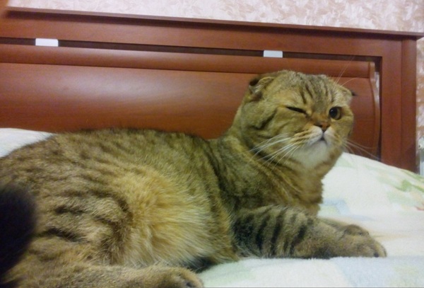 ���� �������!