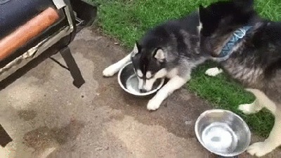  :)