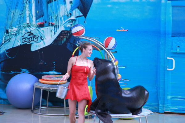 ����� ��������� ����� �� ������� �����������