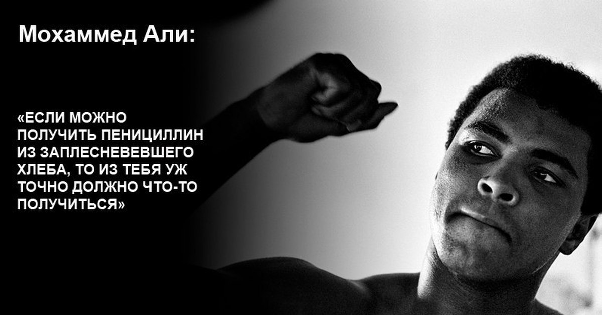 цитаты мухаммеда али в картинках кто еще оставил