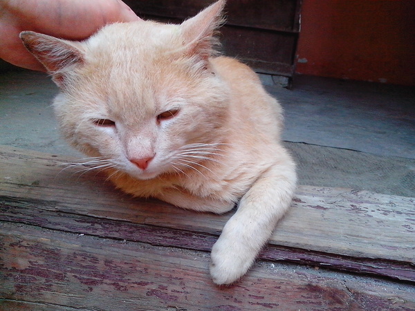 ��� �� ����� ��� � ��� ������