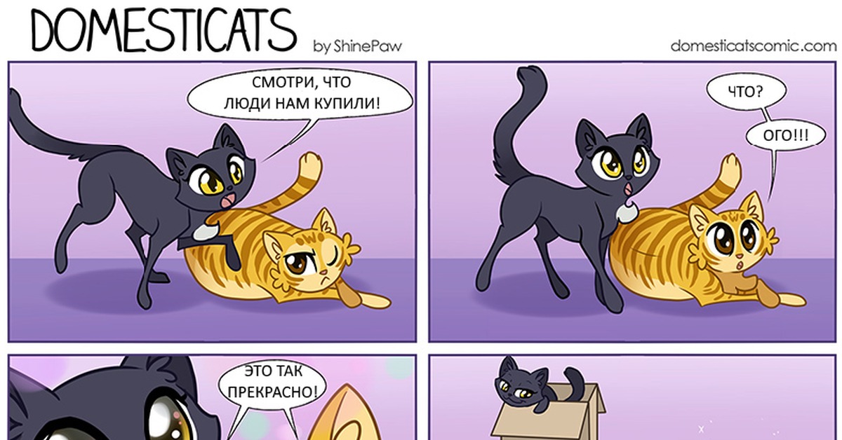 Comic pro. Комиксы с котиками. Комиксы про котят. Коты приколы комиксы. Котики смешные комиксы.