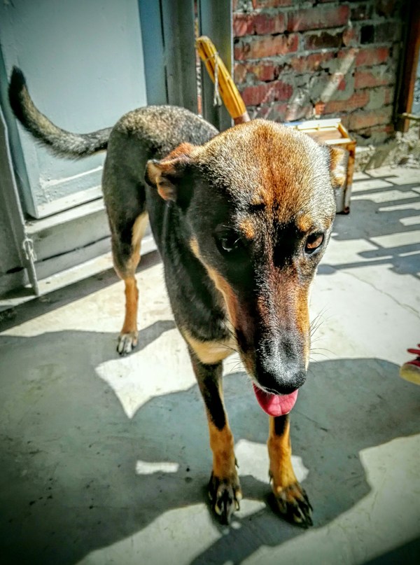 ������ ������������. (��������� �� ������)