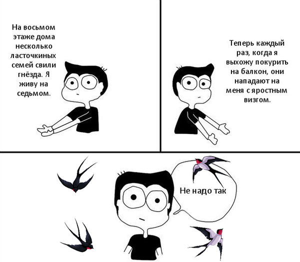 Ласточки