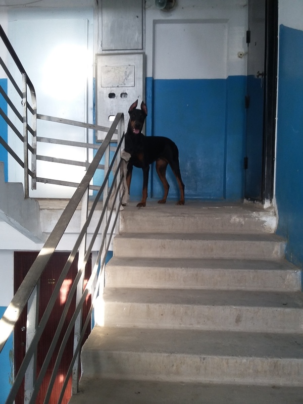 Пожалуй не пойду домой