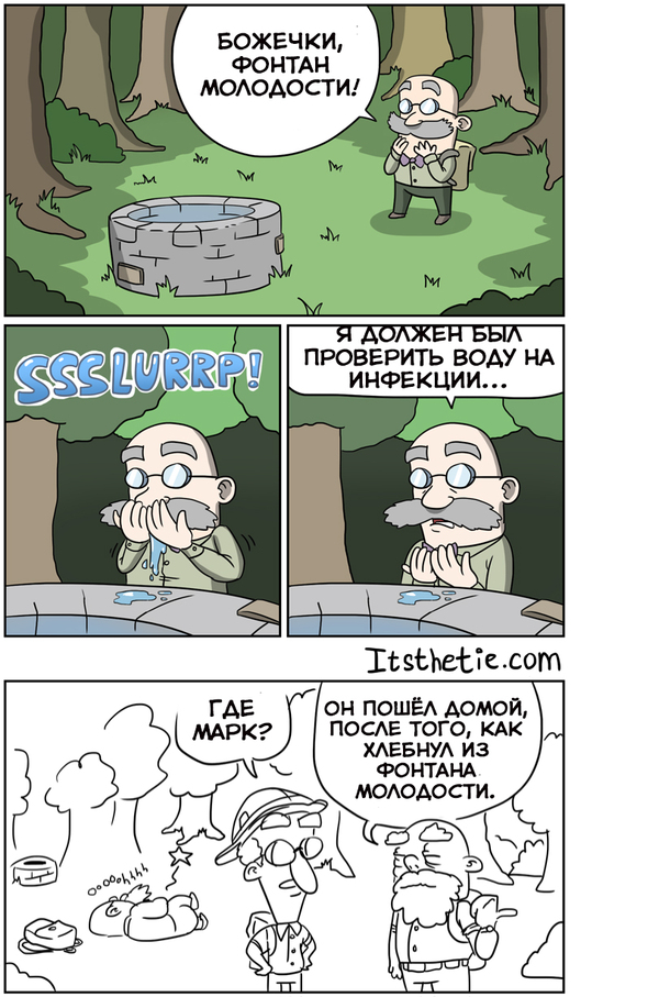 ������ ���������