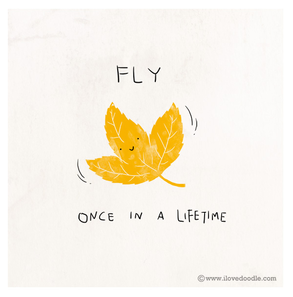     Lim Heng Swee, , , , , Fly once in a lifetime