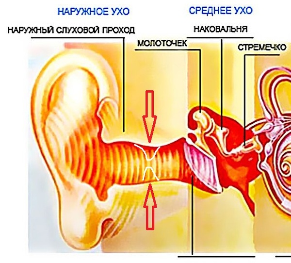 �������� �����������