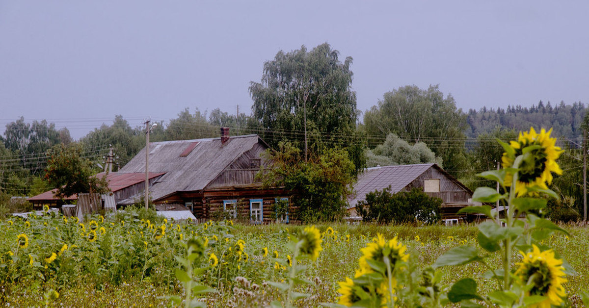 Сельская Россия Фото