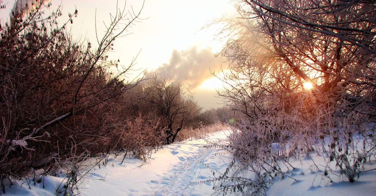 Доброе снежное мартовское утро. Морозное солнечное утро. Фото пейзаж солнце иней в лесу. Очень красивое зимнее утро в лесу 20 февраля 2024. Пейзаж зимний иней тропинка город фото.