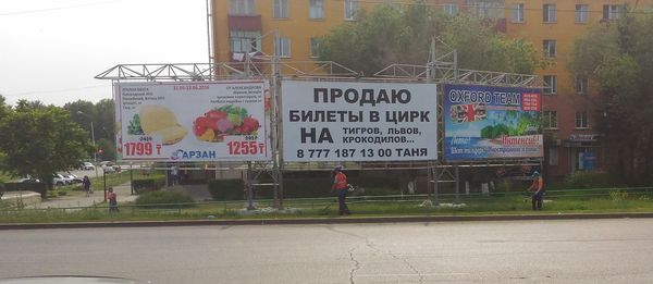 ������ � ���������