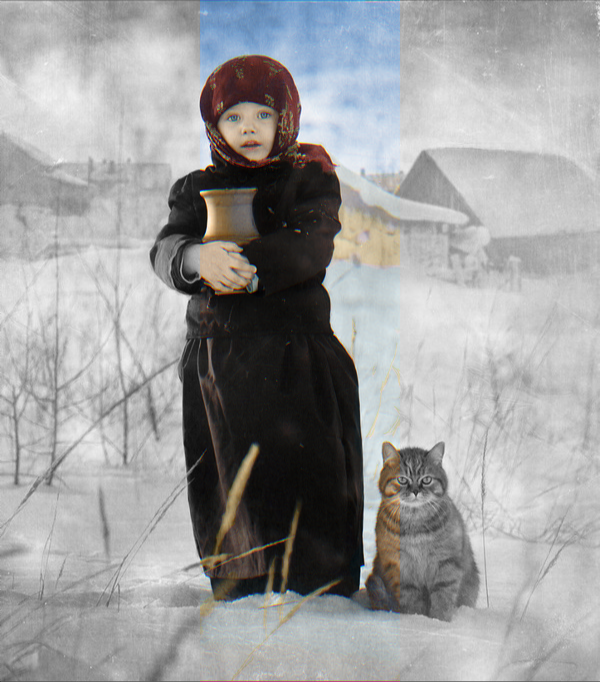  . :) , ,   , , Akvis Colorage, Photoshop, -,  