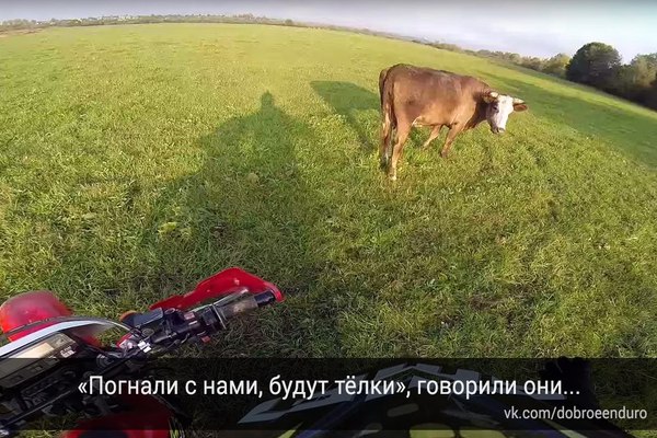 �������� ���...