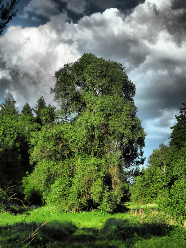 ����, �������, ������, HDR.