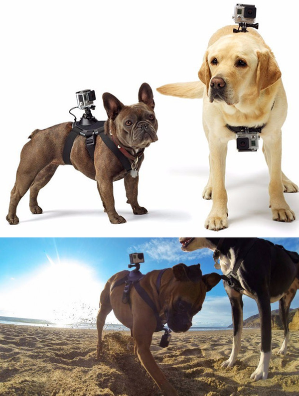   .      ! , , GoPRO, -, AliExpress