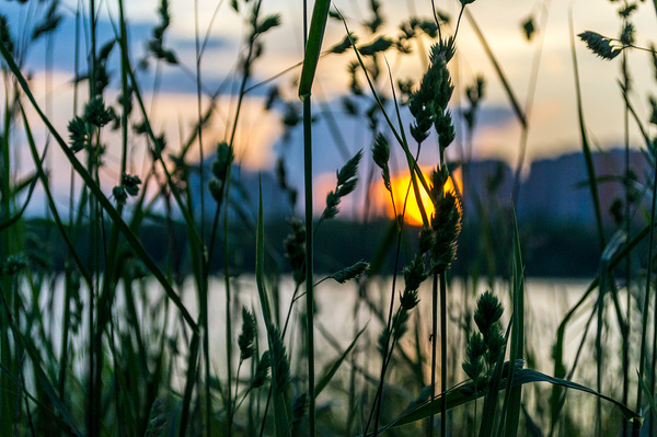 Закат на Борисовских прудах, Москва