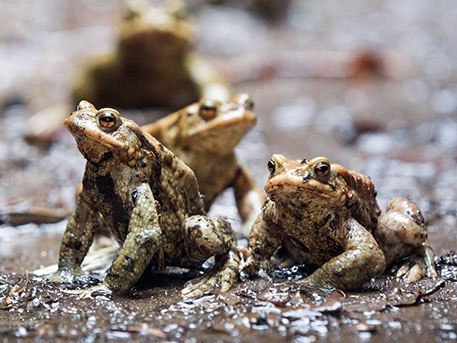 ����� ����� � ������ �� �������