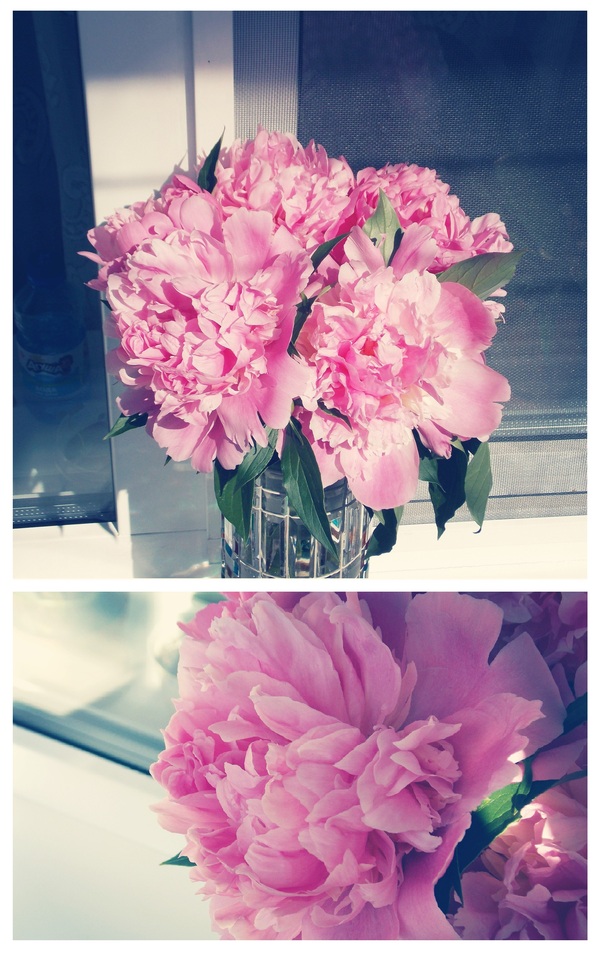 ������� �����