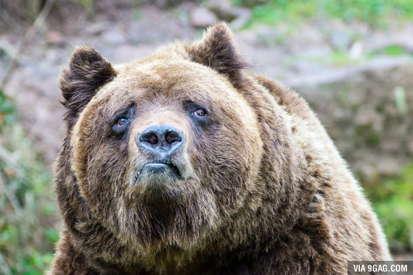 ����� �� ����