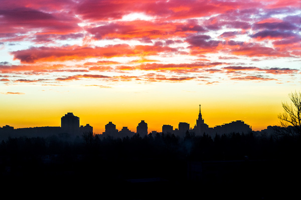 Утренний вид из окна