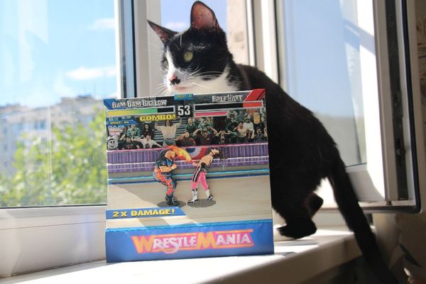 3D   "WWF WrestleMania: The Arcade Game" , 8 , 16 , , -, , Sega, Dendy, 