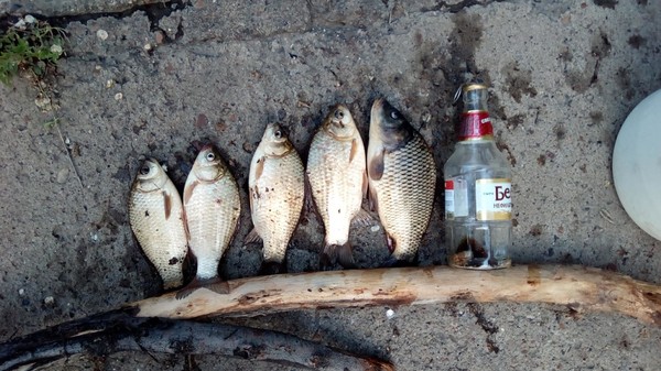 Воскресная рыбалка