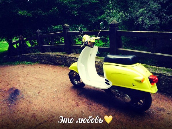 -!!!!  (Honda Giorno)-!!! !!!! ,  , , -,  , , 