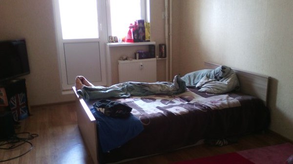 Показалось, что крокодил Гена ко мне заскочил.