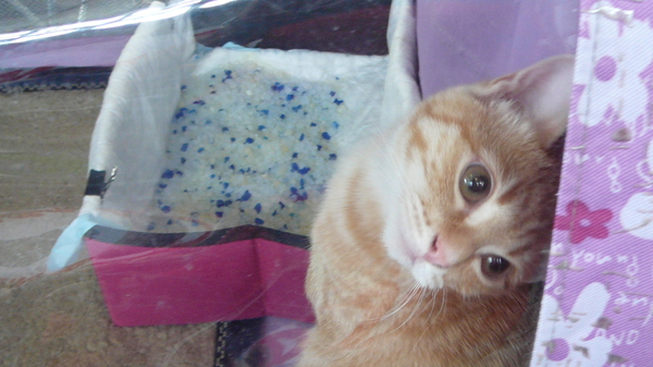 ��� ����� ����� ���� ��������� �� �������� �����