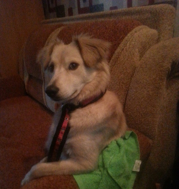 ���� ����, ��� ���������� ���, �������?