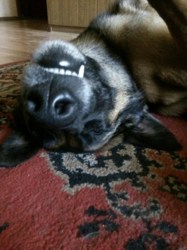 ����� ����