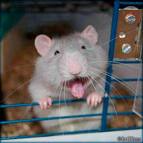 - ������!